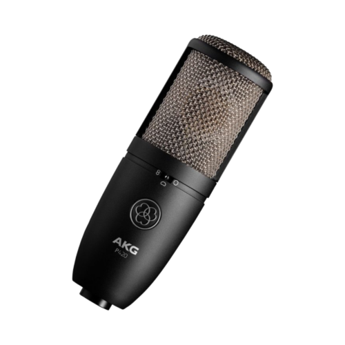 MICROFONO DE ESTUDIO.