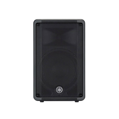 PARLANTE AUTO AMPLIFICADO 10¨